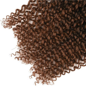 Crochet Bohemian Braid Passion Twist