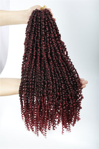 Passion Twist Pre-Looped 22 Inch Crochet Braided Hair