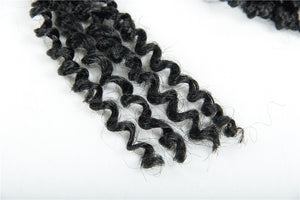 Passion Twist Pre-Looped 22 Inch Crochet Braided Hair