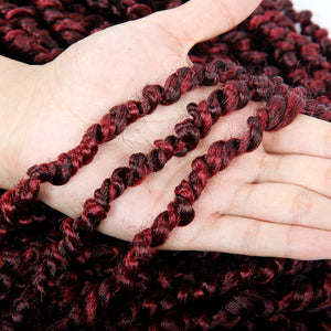 Passion Twist Pre-Looped 22 Inch Crochet Braided Hair