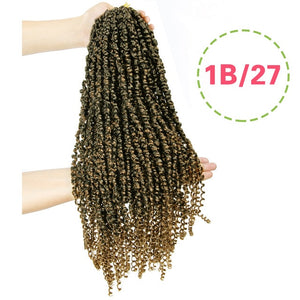 Passion Twist Pre-Looped 22 Inch Crochet Braided Hair