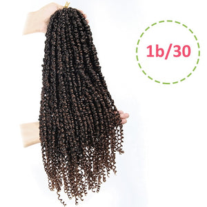 Passion Twist Pre-Looped 22 Inch Crochet Braided Hair