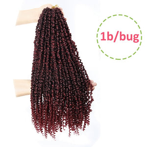 Passion Twist Pre-Looped 22 Inch Crochet Braided Hair