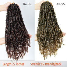 Load image into Gallery viewer, Passion Twist Pre-Looped 22 Inch Crochet Braided Hair