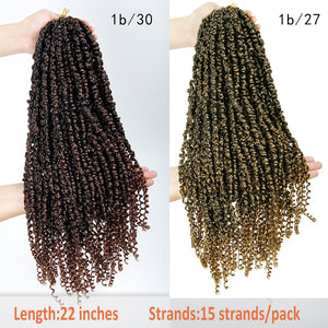 Passion Twist Pre-Looped 22 Inch Crochet Braided Hair